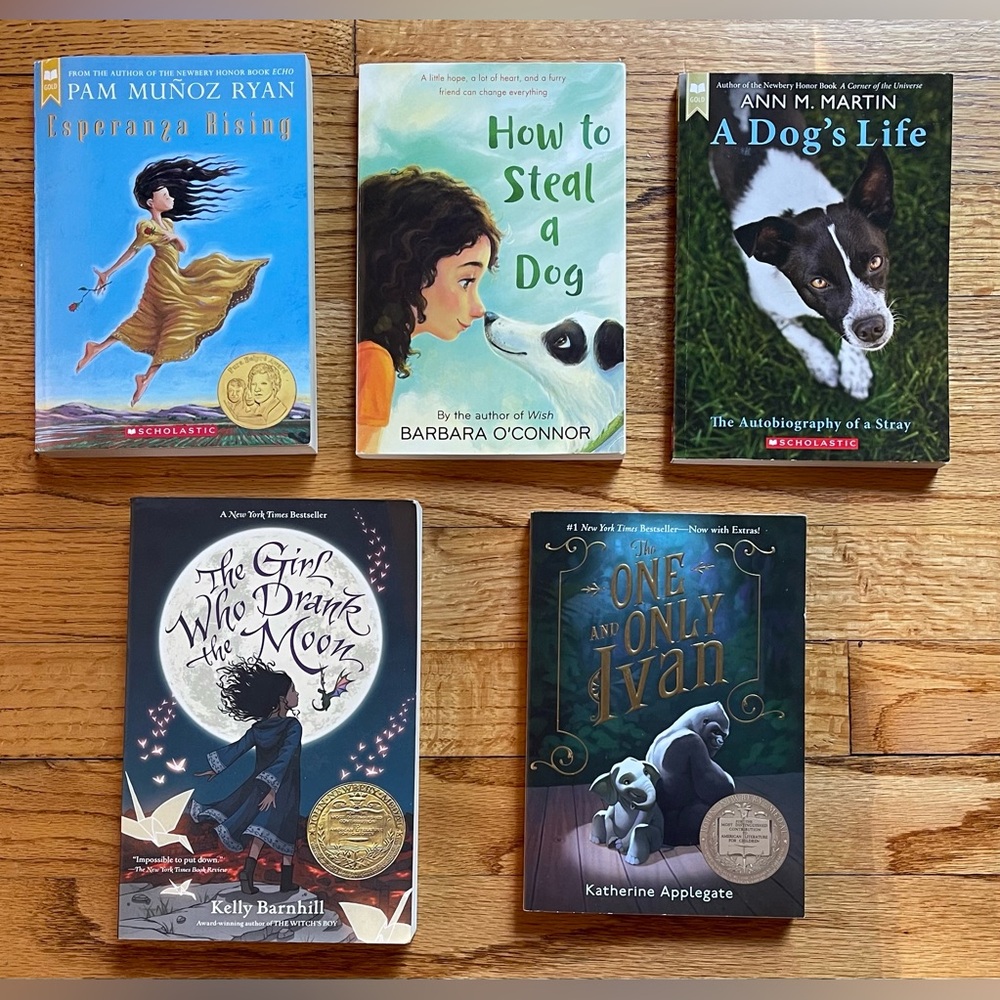 Fiction Chapter Books Set